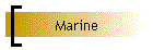 Marine